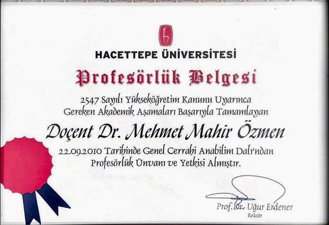 Profesörlük Belgesi — Hacettepe Üniversitesi, 22.09.2010